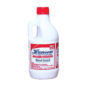 Paint Remover